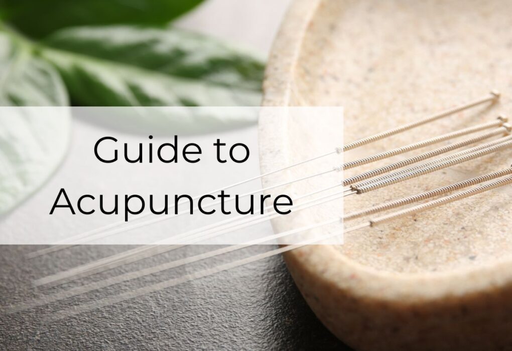 Guide to Acupuncture