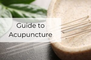 Guide to Acupuncture