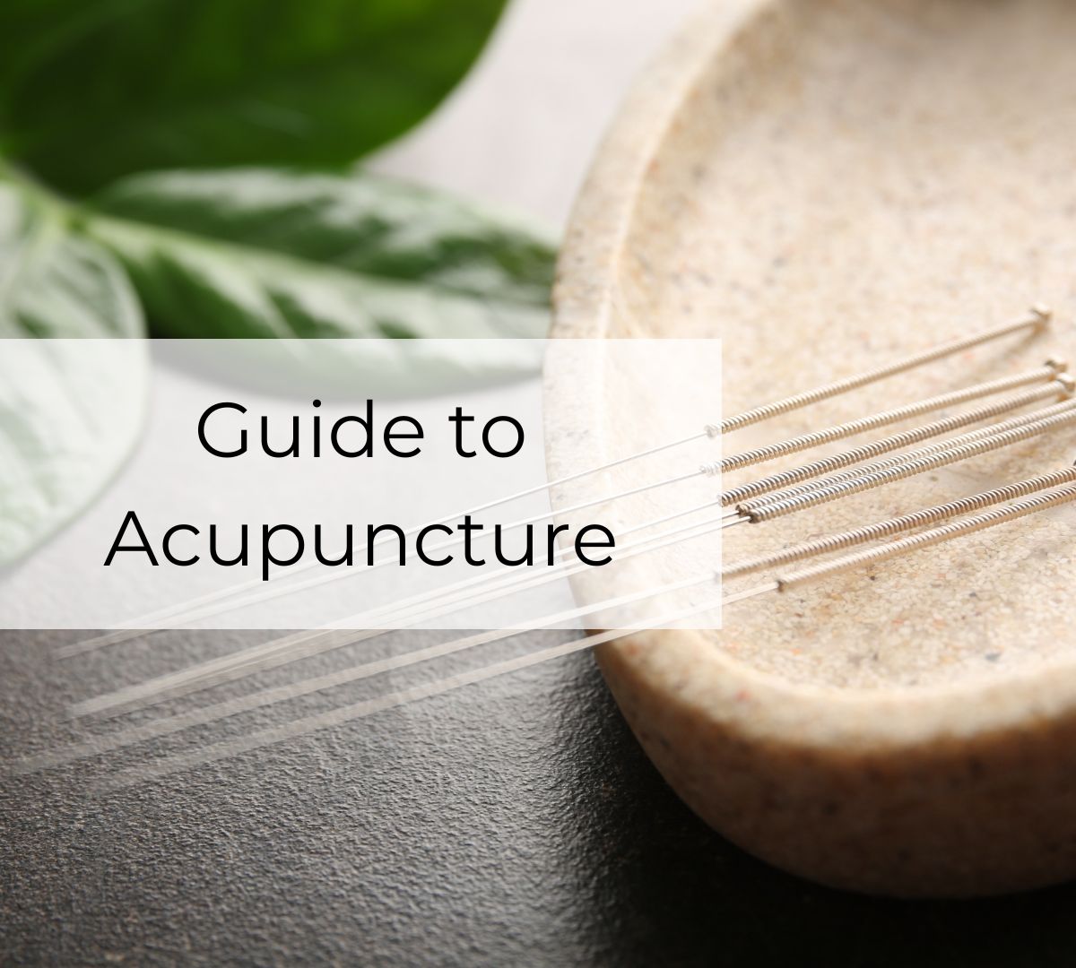 Guide to Acupuncture